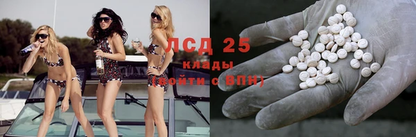 твердый Абаза