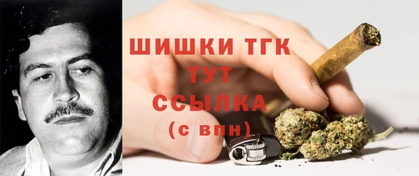 твердый Абаза