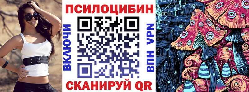 Псилоцибиновые грибы прущие грибы  Судогда 